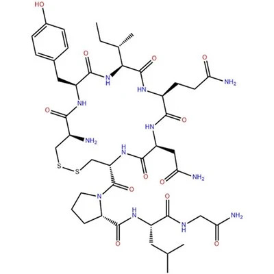 Oksitosin pou itilizasyon veterinè CAS 50-56-6